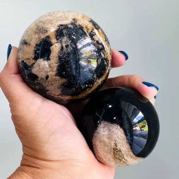 Petrified Wood Crystal Spheres | Black Beige Brown | Druzy Quartz Crystal | Polished Stone | Ying Yang