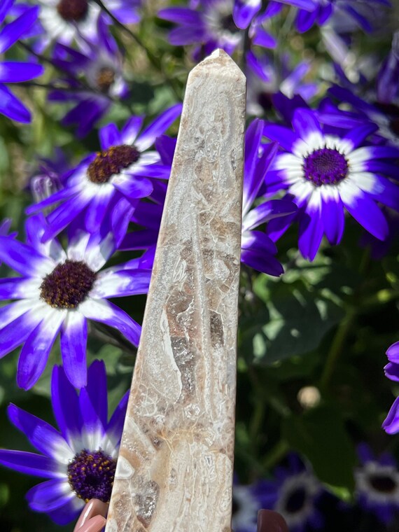 Petrified Wood X Quartz Tower, Fossilized Wood, Natural Wood, Natural Stone Petrified Wood X Quartz Tower, Fossilized Wood, Natural Wood, Natural Stone