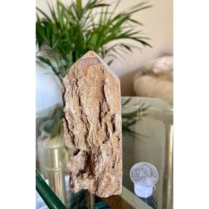 Rare Stock Petrified Wood Tower from Indonesia 1.8" x 4.7" #M525 Sale | Natural genuine stones & crystals in various shapes & sizes. Buy raw cut, tumbled, or polished gemstones for making jewelry or crystal healing energy vibration raising reiki stones. #crystals #gemstones #crystalhealing #crystalsandgemstones #energyhealing #affiliate #ad