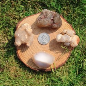Shop Raw & Rough Agate Stones! Snakeskin Agate Raw Singles PIece #A-N | Natural genuine stones & crystals in various shapes & sizes. Buy raw cut, tumbled, or polished gemstones for making jewelry or crystal healing energy vibration raising reiki stones. #crystals #gemstones #crystalhealing #crystalsandgemstones #energyhealing #affiliate #ad