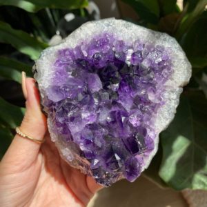 Shop Raw & Rough Amethyst Stones! Dark amethyst druzy cluster, amethyst geode | Natural genuine stones & crystals in various shapes & sizes. Buy raw cut, tumbled, or polished gemstones for making jewelry or crystal healing energy vibration raising reiki stones. #crystals #gemstones #crystalhealing #crystalsandgemstones #energyhealing #affiliate #ad