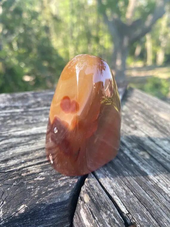 Carnelian Freeform - Reiki Charged Crystal - Powerful  Energy - Boosts Creativity & Compassion - Pms Relief - Courage - #2