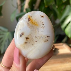 Shop Dendritic Agate Stones & Crystals! dendritic agate palm stone | Natural genuine stones & crystals in various shapes & sizes. Buy raw cut, tumbled, or polished gemstones for making jewelry or crystal healing energy vibration raising reiki stones. #crystals #gemstones #crystalhealing #crystalsandgemstones #energyhealing #affiliate #ad