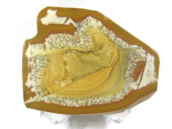 Polished Owyhee Jasper Decorator/collector Specimen