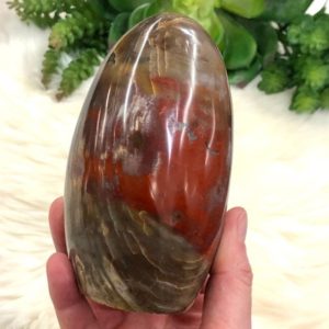 Shop Petrified Wood Shapes! Petrified Wood Freeform 116mm HS | Natural genuine stones & crystals in various shapes & sizes. Buy raw cut, tumbled, or polished gemstones for making jewelry or crystal healing energy vibration raising reiki stones. #crystals #gemstones #crystalhealing #crystalsandgemstones #energyhealing #affiliate #ad