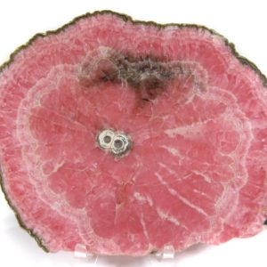 Shop Raw & Rough Rhodochrosite Stones! HUGE XL Rhodochrosite Stalactite Slice Specimen –Mirror polished! 7 inch diameter! Beautiful inner structure, Crazy "8" center! | Natural genuine stones & crystals in various shapes & sizes. Buy raw cut, tumbled, or polished gemstones for making jewelry or crystal healing energy vibration raising reiki stones. #crystals #gemstones #crystalhealing #crystalsandgemstones #energyhealing #affiliate #ad