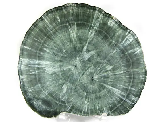 Awesome Seraphinite (clinochlore) Polished Double Stalactite Slice Specimen --intact Outer Rind, Gorgeous Sprays! See Video!