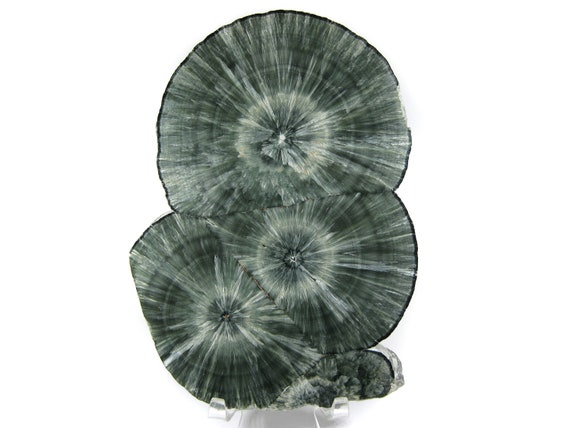 Gorgeous Seraphinite (clinochlore) Polished Triple Stalactite Slice Specimen -- Amazing Formation, Gorgeous Sprays! See Video!