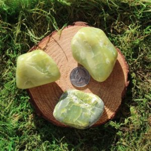 Shop Serpentine Shapes! Dark Washington Serpentine Polished Small Palm Chunks #D-I | Natural genuine stones & crystals in various shapes & sizes. Buy raw cut, tumbled, or polished gemstones for making jewelry or crystal healing energy vibration raising reiki stones. #crystals #gemstones #crystalhealing #crystalsandgemstones #energyhealing #affiliate #ad
