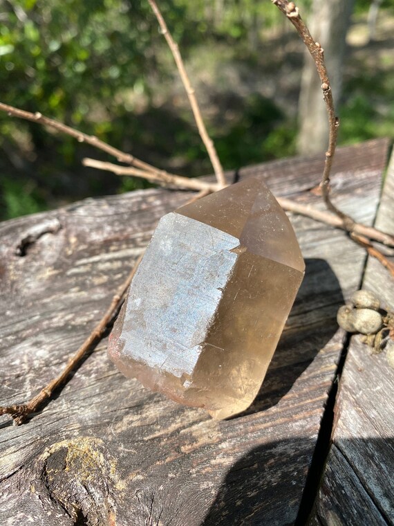 Raw Smoky Quartz Generator - Reiki Charged Crystal Point - Powerful  Energy - Grounding & Protection - Ease Depression And Negativity