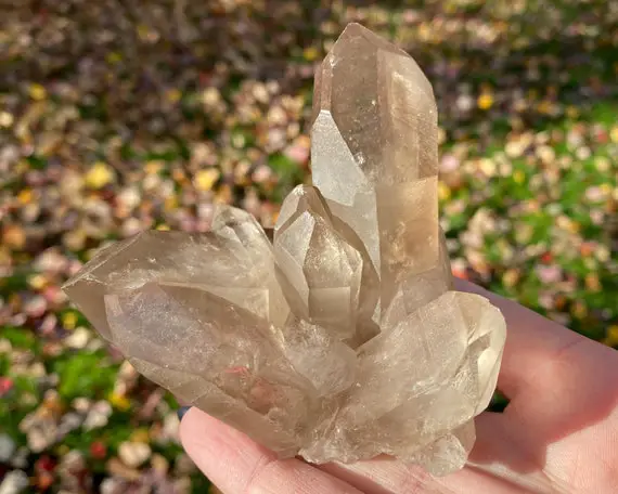 Natural Smoky Quartz Cluster From Brazil #4 Real Smoky Quartz Crystal For Protection, Grounding, Witchy Decor, Gift For Scorpio, Sagittarius