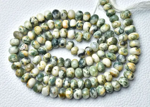 13 Inches Strand Natural Tree Agate Plain Rondelles 6.5mm To 8mm Smooth Gemstone Beads Rare Agate Beads Semi Precious Rondelles No3044