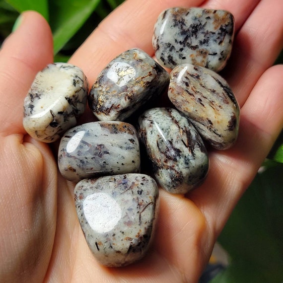 Astrophyllite Crystal - Polished Astrophyllite - Tumbled Astrophyllite - Astrophyllite Specimen - Astrophyllite Stone - Tumbled Stones Astrophyllite Crystal - Polished Astrophyllite - Tumbled Astrophyllite - Astrophyllite Specimen - Astrophyllite Stone - Tumbled Stones