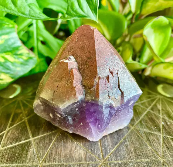 Auralite 23 Red Hematite Tipped Standing Point Rare | Canadian Crystal | Cut Base Large Natural