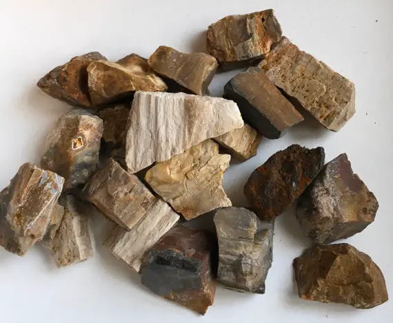 Petrified Wood Natural Raw Stone, Healing Stone, Healing Crystals,chakra Stone, Spiritual Stone,reiki Infused