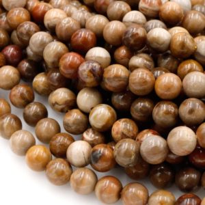 Natural Petrified Wood Beads 4mm 6mm 8mm 10mm Round Beads Earthy Brown Tan Beige Taupe Natural Stone 16" Strand | Natural genuine beads Petrified Wood beads for beading and jewelry making.  #jewelry #beads #beadedjewelry #diyjewelry #jewelrymaking #beadstore #beading #affiliate #ad