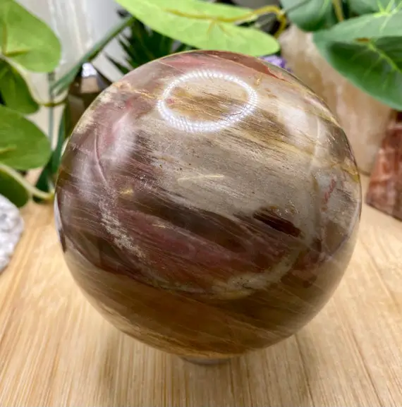 Petrified Wood Sphere Crystal Pws25 Sme