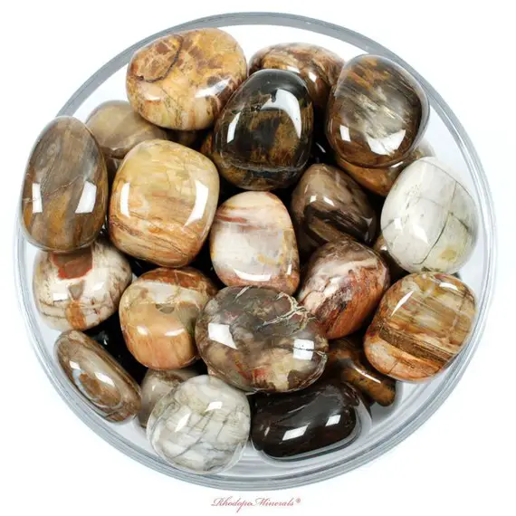 Petrified Wood Tumbled Stone, Petrified Wood, Tumbled Stones, Stones, Crystals, Rocks, Gifts, Gemstones, Gems, Zodiac Crystals, Healing