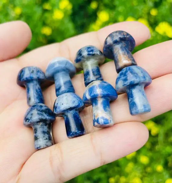 Sodalite Mushroom (1) Blue Gray Sodalite Mini Mushroom Xxs Blue Gray Speckled Tumbled Polished Crystal Stone Natural Gemstone