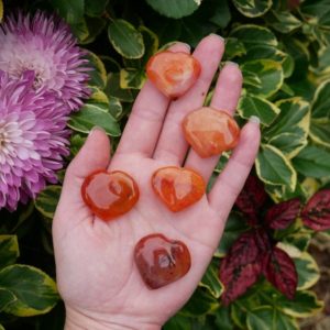 Shop Carnelian Shapes! Carnelian Puffy Hearts – Crystal Hearts | Natural genuine stones & crystals in various shapes & sizes. Buy raw cut, tumbled, or polished gemstones for making jewelry or crystal healing energy vibration raising reiki stones. #crystals #gemstones #crystalhealing #crystalsandgemstones #energyhealing #affiliate #ad