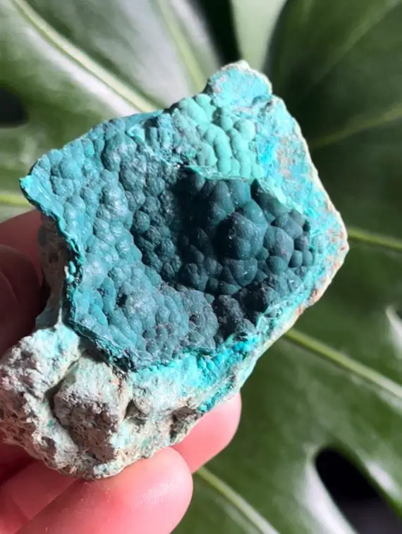 Malachite Chrysocolla  Raw Mineral Crystal Cluster ~ Collector Minerals ~ Congo Mc5