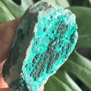 Shop Raw & Rough Chrysocolla Stones! Malachite Chrysocolla  Raw Mineral Crystal Cluster ~ Collector Minerals ~ Congo MC2 | Natural genuine stones & crystals in various shapes & sizes. Buy raw cut, tumbled, or polished gemstones for making jewelry or crystal healing energy vibration raising reiki stones. #crystals #gemstones #crystalhealing #crystalsandgemstones #energyhealing #affiliate #ad