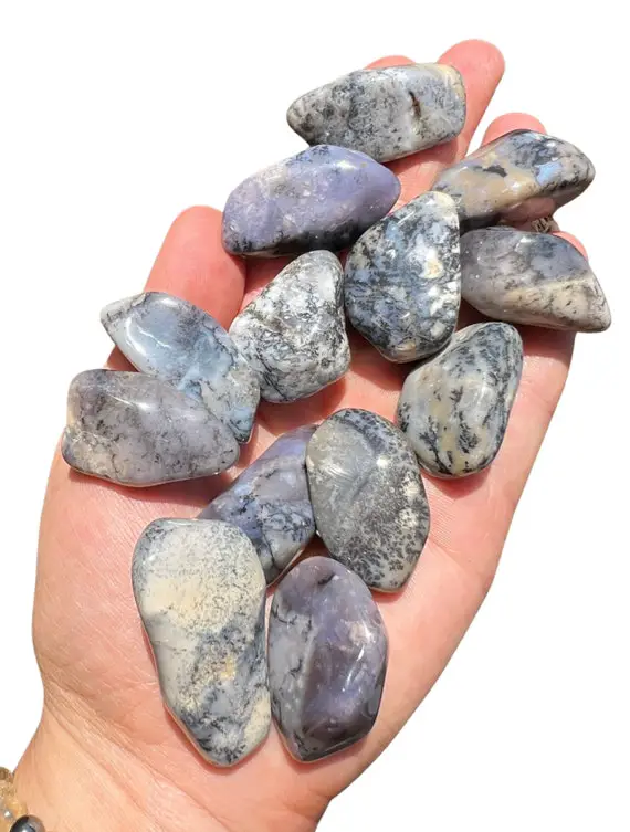 Tumbled Dendritic Agate Stone (.75"-1.5") Multiple Sizes Available - Dendritic Agate Crystal - Dendritic Tumbled - Polished Dendrite Agate