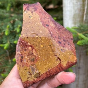 Shop Picture Jasper Stones & Crystals! Picture Jasper Lapidary Slab natural stone not polished for cabbing | Natural genuine stones & crystals in various shapes & sizes. Buy raw cut, tumbled, or polished gemstones for making jewelry or crystal healing energy vibration raising reiki stones. #crystals #gemstones #crystalhealing #crystalsandgemstones #energyhealing #affiliate #ad