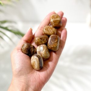 Shop Tumbled Aragonite Crystals & Pocket Stones! Aragonite Tumbled Stones: Enhance Stability and Centering | Natural genuine stones & crystals in various shapes & sizes. Buy raw cut, tumbled, or polished gemstones for making jewelry or crystal healing energy vibration raising reiki stones. #crystals #gemstones #crystalhealing #crystalsandgemstones #energyhealing #affiliate #ad