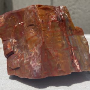 Shop Raw & Rough Petrified Wood Stones! Arizona Rainbow Petrified Wood Natural Fossil Rough Raw Lapidary Slab 1 lb | Natural genuine stones & crystals in various shapes & sizes. Buy raw cut, tumbled, or polished gemstones for making jewelry or crystal healing energy vibration raising reiki stones. #crystals #gemstones #crystalhealing #crystalsandgemstones #energyhealing #affiliate #ad