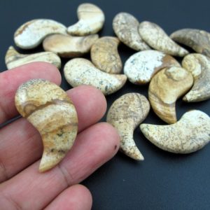 Shop Picture Jasper Bead Shapes! BOGO SALE -Buy one get one for free Owyhee jasper claw, Beads,  Semiprecious stone, ,Jewelry Making  supplies S7212 | Natural genuine other-shape Picture Jasper beads for beading and jewelry making.  #jewelry #beads #beadedjewelry #diyjewelry #jewelrymaking #beadstore #beading #affiliate #ad
