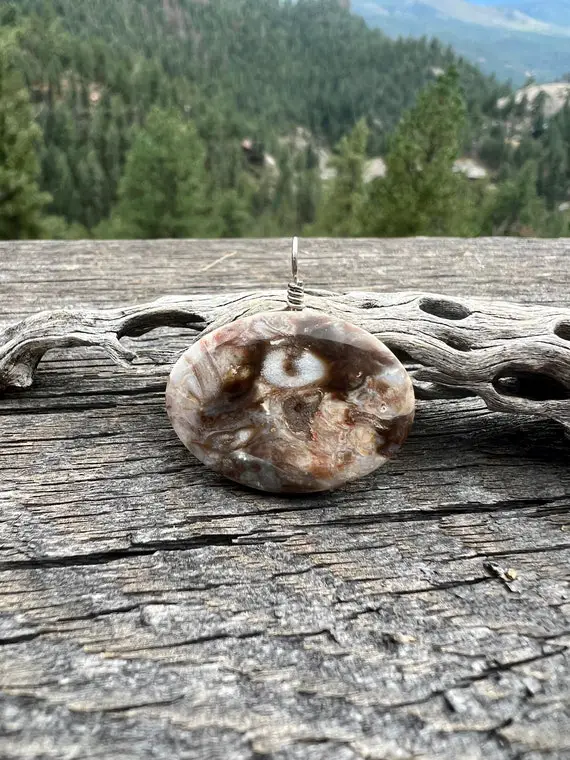 Petrified Palm Tree Necklace, Petrified Wood Necklace, Texas Agate, Sterling Silver Wire, Minimalist, Handmade Jewelry
