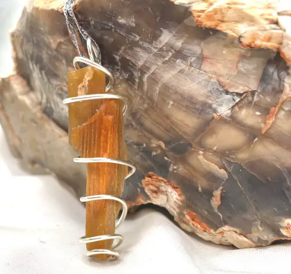 Petrified Wood Pendant Healing Crystal Stone Reiki Crystal Gaia Agate Wood Rough Stone Sterling Silver Wire Wrap Handmade Ethically Sourced