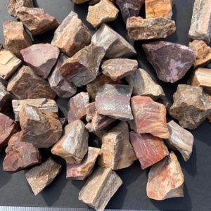 Shop Raw & Rough Petrified Wood Stones! Petrified Wood Pieces, Chunks, Rough | Natural genuine stones & crystals in various shapes & sizes. Buy raw cut, tumbled, or polished gemstones for making jewelry or crystal healing energy vibration raising reiki stones. #crystals #gemstones #crystalhealing #crystalsandgemstones #energyhealing #affiliate #ad