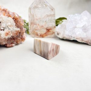 Shop Petrified Wood Rings! Petrified Wood Polished Cab Carved Ring -Size 6 (EPJ-RCAA11-6) | Natural genuine Petrified Wood rings, simple unique handcrafted gemstone rings. #rings #jewelry #shopping #gift #handmade #fashion #style #affiliate #ad