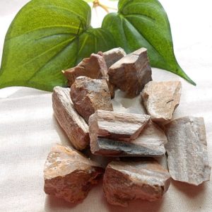 Shop Raw & Rough Petrified Wood Stones! Petrified Wood, Raw Petrified Wood, Fossilized Wood, Fossil,  Meditation, Grounding, Witchcraft Crystals, Witchcraft Supply | Natural genuine stones & crystals in various shapes & sizes. Buy raw cut, tumbled, or polished gemstones for making jewelry or crystal healing energy vibration raising reiki stones. #crystals #gemstones #crystalhealing #crystalsandgemstones #energyhealing #affiliate #ad