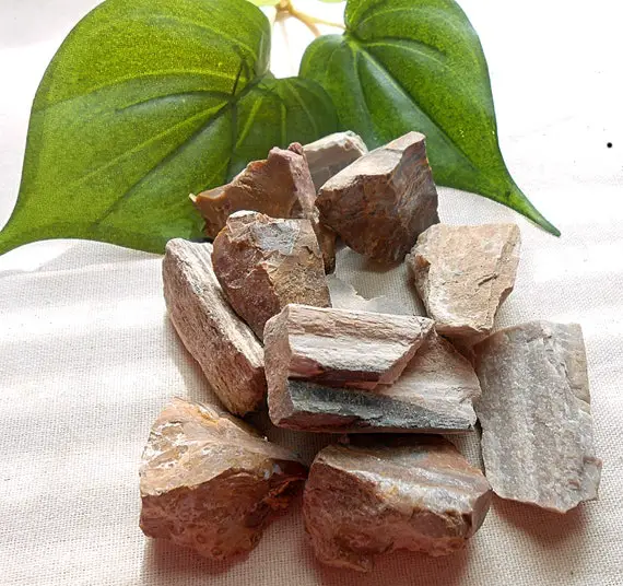 Earth's Embrace: Petrified Wood Crystal For Grounding And Spiritual Harmony