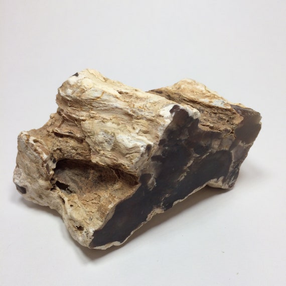 Petrified Wood Specimen 4" - Dark Red Color Fossil Wood - Fossil Stone - Two Sides Sliced - Unpolished - Rough - From Arizona - 365g