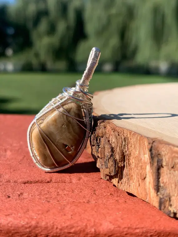 Petrified Wood Wire Wrap Pendant, Wire Wrapped Petrified Wood, Petrified Wood Wire Wrap, Petrified Wood Pendant, Petrified Wood Necklace
