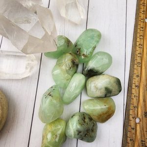 Shop Tumbled Prehnite Crystals & Pocket Stones! Prehnite Tumbled Stone Tumble Prehnite Crystal Tumble Crystal Prehnite Green Tumblestone Prehnite Green Crystal Small Prehnite Tumble Green | Natural genuine stones & crystals in various shapes & sizes. Buy raw cut, tumbled, or polished gemstones for making jewelry or crystal healing energy vibration raising reiki stones. #crystals #gemstones #crystalhealing #crystalsandgemstones #energyhealing #affiliate #ad