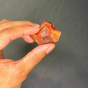 Rough Carnelian/Raw Carnelian 'GRADE A' natural stones | Natural genuine stones & crystals in various shapes & sizes. Buy raw cut, tumbled, or polished gemstones for making jewelry or crystal healing energy vibration raising reiki stones. #crystals #gemstones #crystalhealing #crystalsandgemstones #energyhealing #affiliate #ad