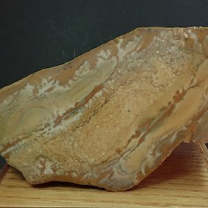 Shop Raw & Rough Picture Jasper Stones! 10192 Picture Jasper  scenic picture jasper  unpolished end cut  105 x 52 x 40  256 grams 9 oz  scenic picture jasper slab from thegemdealer | Natural genuine stones & crystals in various shapes & sizes. Buy raw cut, tumbled, or polished gemstones for making jewelry or crystal healing energy vibration raising reiki stones. #crystals #gemstones #crystalhealing #crystalsandgemstones #energyhealing #affiliate #ad
