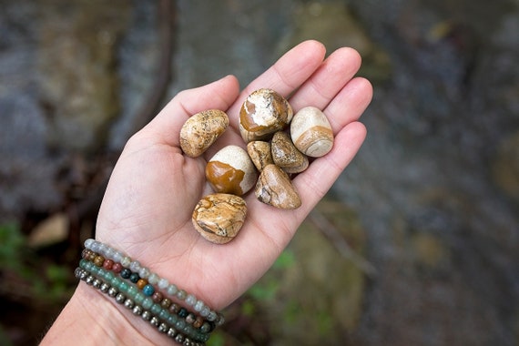 Picture Jasper Tumbled Stone | Healing Metaphysical Crystal