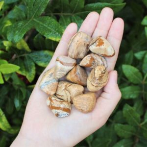 Picture Jasper Tumbled Stones: Choose How Many Pieces (Premium Quality 'A' Grade) | Natural genuine stones & crystals in various shapes & sizes. Buy raw cut, tumbled, or polished gemstones for making jewelry or crystal healing energy vibration raising reiki stones. #crystals #gemstones #crystalhealing #crystalsandgemstones #energyhealing #affiliate #ad