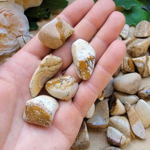 Shop Tumbled Picture Jasper Crystals & Pocket Stones! Picture Jasper Tumbles (5 pc) | Natural genuine stones & crystals in various shapes & sizes. Buy raw cut, tumbled, or polished gemstones for making jewelry or crystal healing energy vibration raising reiki stones. #crystals #gemstones #crystalhealing #crystalsandgemstones #energyhealing #affiliate #ad