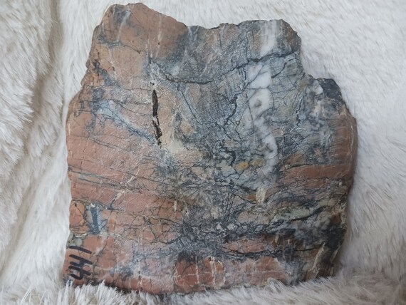 Ocean Jasper Multi-colored Rough Cut Slab Lapidary Specimen