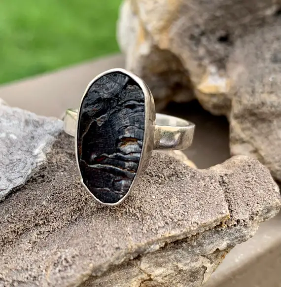 One Of A Kind Sterling Silver Shungite Ring