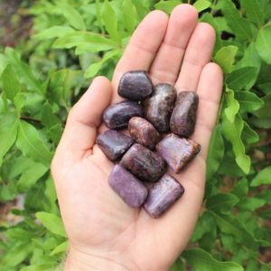 Shop Ruby Stones & Crystals! Ruby Tumbled Stones: Choose How Many Pieces (Premium Quality 'A' Grade) | Natural genuine stones & crystals in various shapes & sizes. Buy raw cut, tumbled, or polished gemstones for making jewelry or crystal healing energy vibration raising reiki stones. #crystals #gemstones #crystalhealing #crystalsandgemstones #energyhealing #affiliate #ad
