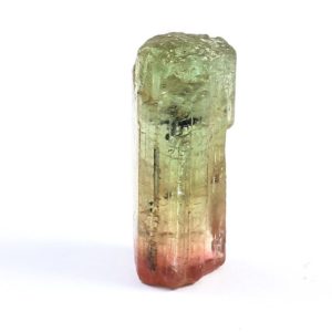 Shop Watermelon Tourmaline Stones & Crystals! Tourmaline,Natural Tourmaline,Bi Color Tourmaline Raw,Watermelon Tourmaline Raw,Tourmaline Rough,Tourmaline Crystals, 29.5×12.4×12.3MM,39 Ct | Natural genuine stones & crystals in various shapes & sizes. Buy raw cut, tumbled, or polished gemstones for making jewelry or crystal healing energy vibration raising reiki stones. #crystals #gemstones #crystalhealing #crystalsandgemstones #energyhealing #affiliate #ad