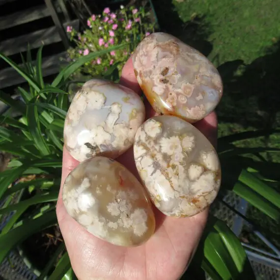 Flower Agate, Choose One Palm Stone, Grade A Flower Agate From Madagascar